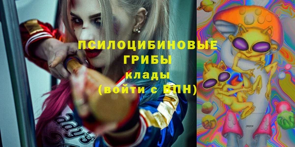 молекула духа Киреевск