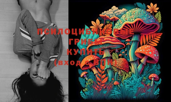 молекула духа Киреевск