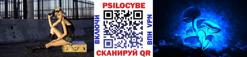 Купить закладки  Верхняя Пышма  Галлюциногенные грибы Psilocybine cubensis 